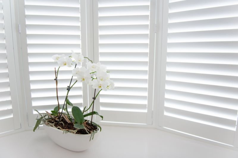 Wood Shutters Installation in Littleton, CO